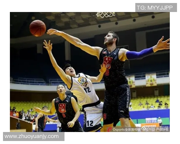 新泻天鹅与大宫松鼠历史交锋战绩回顾与分析